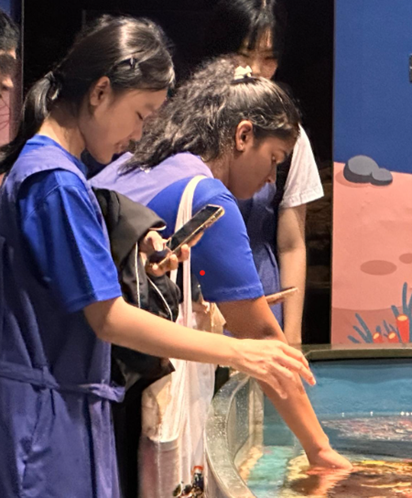 In contact with the sea creatures